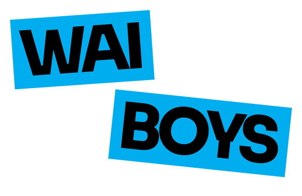 Gateway: Waiboys Work Placement
